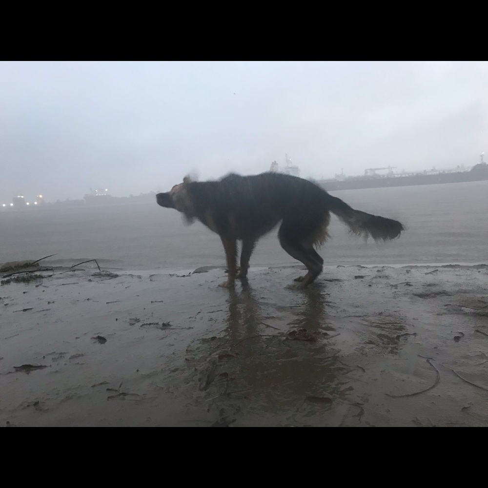 Meet your Posher, Bobby